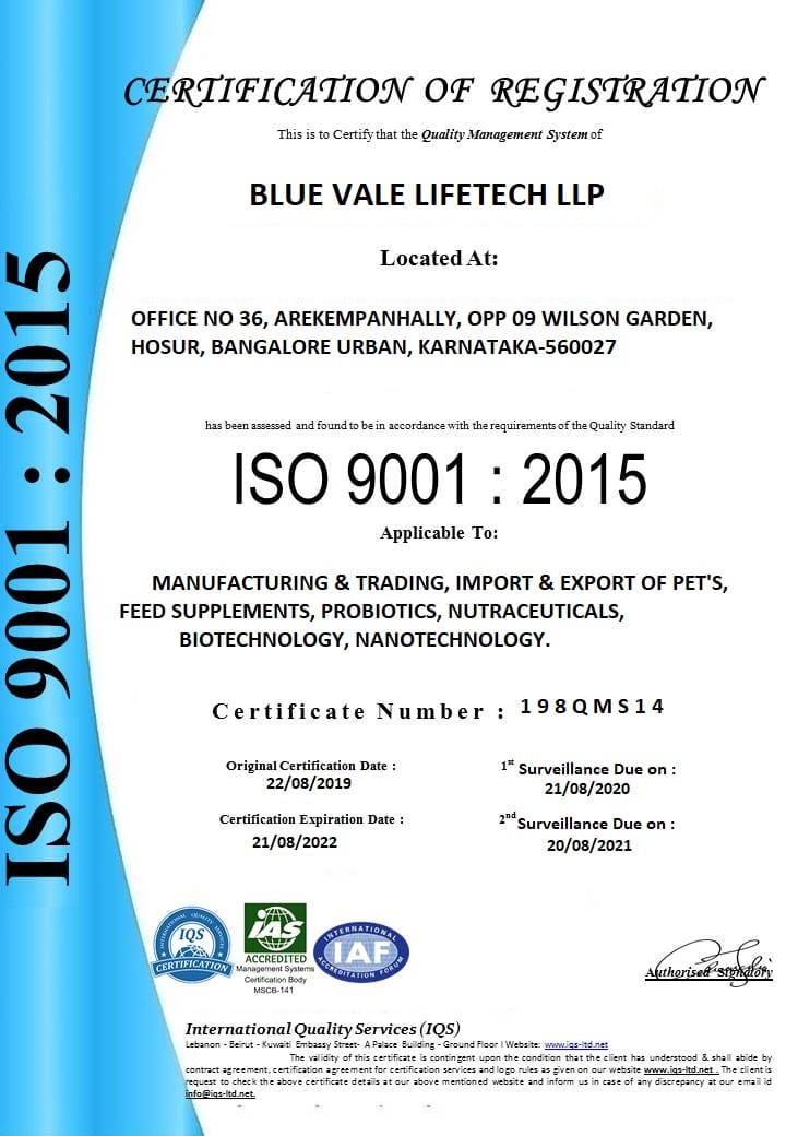 Read more about the article We are now ISO Certified