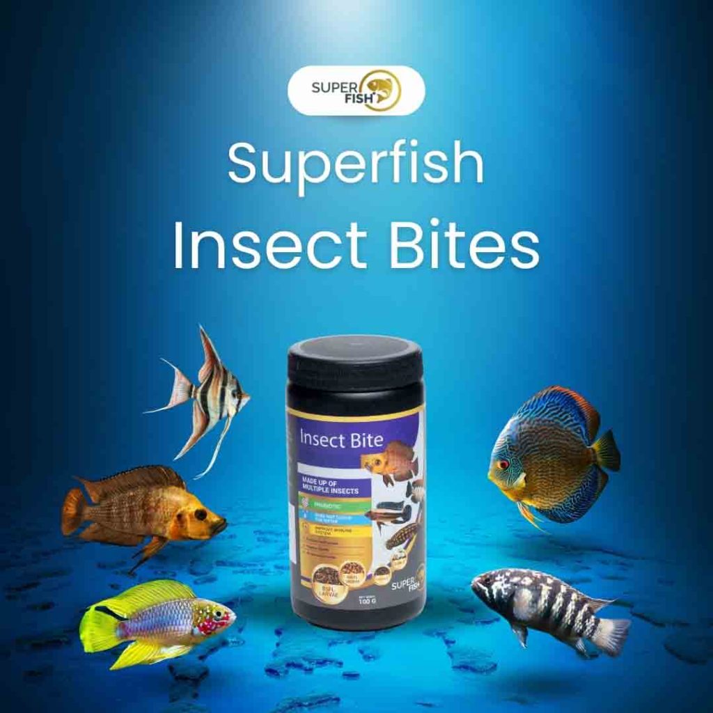 Fish Biting Insects Superfish Insect Bite Pellets – High-Protein Insect-Based Fish Food