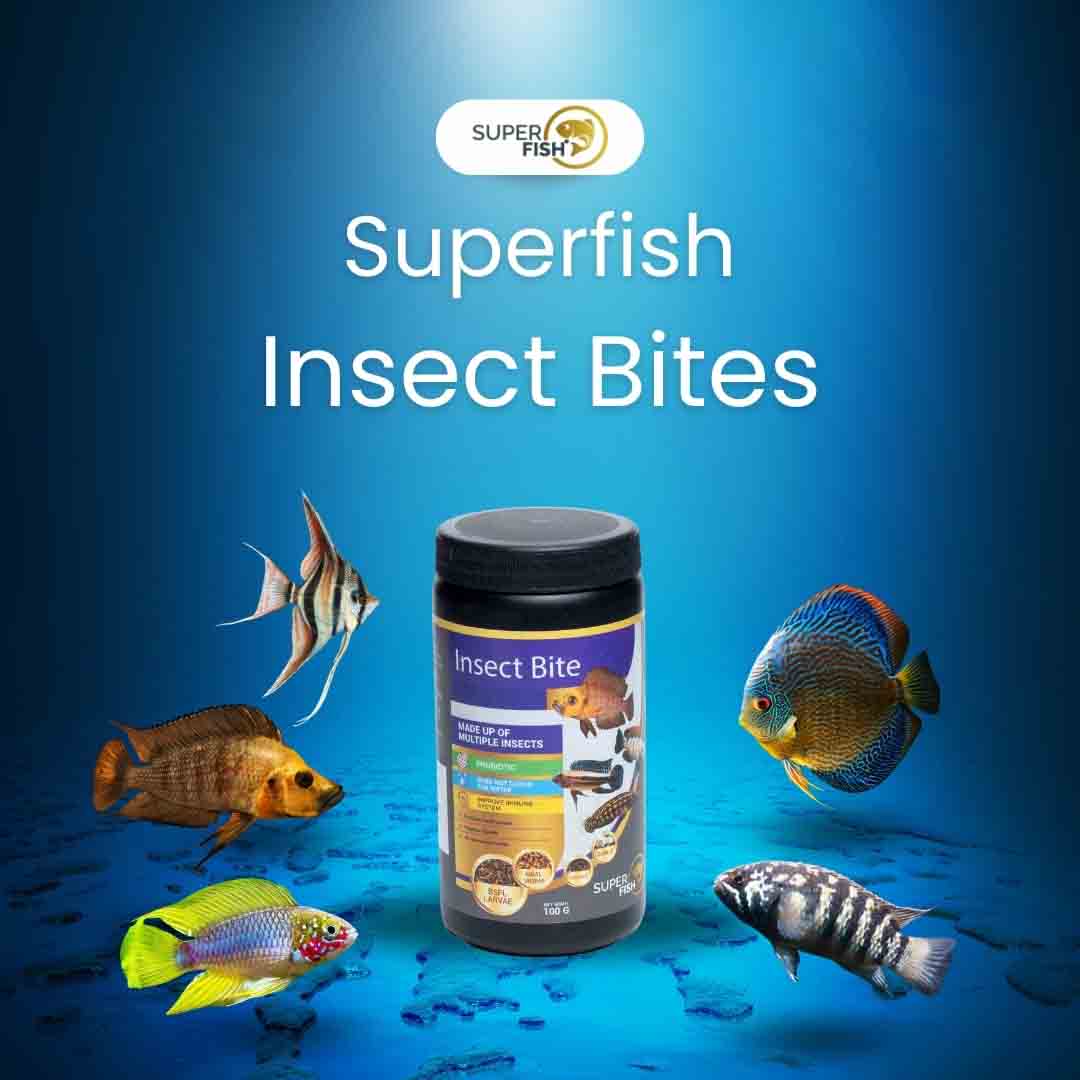 Superfish Insect Bites - Image 4